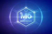 Russia plans to start tapping five molybdenum deposits over next 36 months 