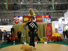 Солнечное шоу МСС на Металл-Экспо’2010 