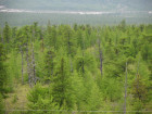 Удачнинский ГОК